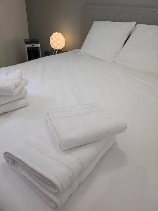 Cocon De Charline - Charme Et Elegance Dans Le Centre Apartment Montauban Ngoại thất bức ảnh