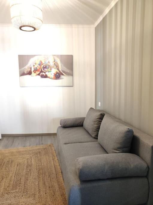 Cocon De Charline - Charme Et Elegance Dans Le Centre Apartment Montauban Ngoại thất bức ảnh